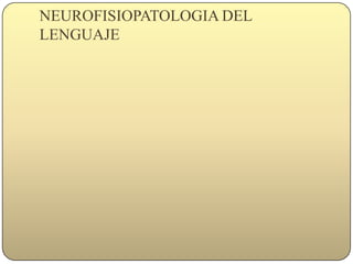 NEUROFISIOPATOLOGIA DEL LENGUAJE