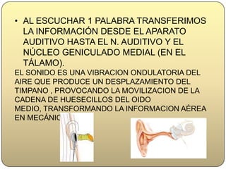 AL ESCUCHAR 1 PALABRA TRANSFERIMOS LA INFORMACIÓN DESDE EL APARATO AUDITIVO HASTA EL N. AUDITIVO Y EL NÚCLEO GENICULADO MEDIAL (EN EL TÁLAMO).EL SONIDO ES UNA VIBRACION ONDULATORIA DEL AIRE QUE PRODUCE UN DESPLAZAMIENTO DEL TIMPANO , PROVOCANDO LA MOVILIZACION DE LA CADENA DE HUESECILLOS DEL OIDO MEDIO, TRANSFORMANDO LA INFORMACION AÉREA EN MECÁNICA.