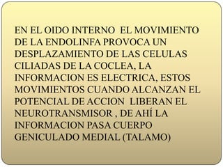 EN EL OIDO INTERNO  EL MOVIMIENTO DE LA ENDOLINFA PROVOCA UN DESPLAZAMIENTO DE LAS CELULAS CILIADAS DE LA COCLEA, LA INFORMACION ES ELECTRICA, ESTOS MOVIMIENTOS CUANDO ALCANZAN EL POTENCIAL DE ACCION  LIBERAN EL NEUROTRANSMISOR , DE AHÍ LA INFORMACION PASA CUERPO GENICULADO MEDIAL (TALAMO)