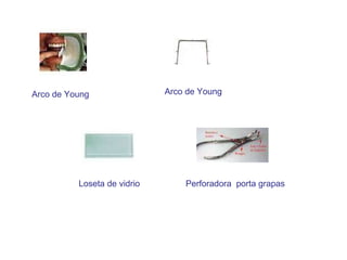 Arco de Young Arco de Young Loseta de vidrio Perforadora  porta grapas 