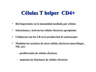 Células T helper CD4+Células T helper CD4+
• Rol importante en la inmunidad mediada por células
• Seleccionan y activan las células efectoras apropiadas
• Colaboran con los LB en la producción de anticuerpos
• Modulan las acciones de otras células efectoras (macrófagos,
NK, etc)
– proliferación de células efectoras
– aumenta las funciones de células efectoras
 