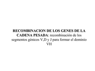 RECOMBINACION DE LOS GENES DE LARECOMBINACION DE LOS GENES DE LA
CADENA PESADACADENA PESADA: recombinación de los
segmentos génicos V,D y J para formar el dominio
VH
 