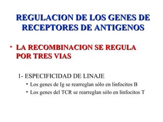 REGULACION DE LOS GENES DEREGULACION DE LOS GENES DE
RECEPTORES DE ANTIGENOSRECEPTORES DE ANTIGENOS
• LA RECOMBINACION SE REGULALA RECOMBINACION SE REGULA
POR TRES VIASPOR TRES VIAS
1- ESPECIFICIDAD DE LINAJE
• Los genes de Ig se rearreglan sólo en linfocitos B
• Los genes del TCR se rearreglan sólo en linfocitos T
 