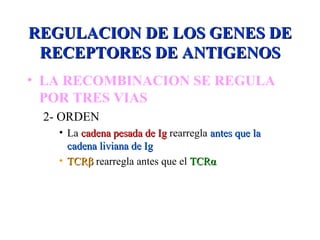 REGULACION DE LOS GENES DEREGULACION DE LOS GENES DE
RECEPTORES DE ANTIGENOSRECEPTORES DE ANTIGENOS
• LA RECOMBINACION SE REGULA
POR TRES VIAS
2- ORDEN
• La cadena pesada de Igcadena pesada de Ig rearregla antes que laantes que la
cadena liviana de Igcadena liviana de Ig
• TCRTCRββ rearregla antes que el TCRTCRαα
 