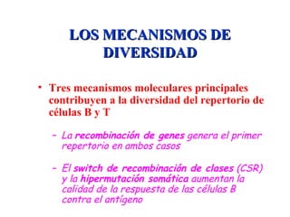LOS MECANISMOS DELOS MECANISMOS DE
DIVERSIDADDIVERSIDAD
• Tres mecanismos moleculares principales
contribuyen a la diversidad del repertorio de
células B y T
– La recombinación de genes genera el primer
repertorio en ambos casos
– El switch de recombinación de clases (CSR)
y la hipermutación somática aumentan la
calidad de la respuesta de las células B
contra el antígeno
 
