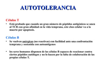 AUTOTOLERANCIAAUTOTOLERANCIA
Células T
• Está probado que cuando un gran número de péptidos antigénicos se unen
al TCR con gran afinidad en la vida temprana, este clon celular va a la
muerte por apoptosis.
Células B
• Se vuelven anérgicas (no reactivas) con facilidad ante una confrontación
temprana y sostenida con autoantígenos
• los seres humanos disponen de las células B capaces de reacionar contra
ciertos péptidos autólogos y no lo hacen por la falta de colaboración de las
propias células T.
 
