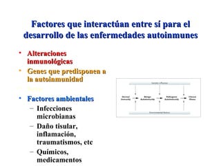 Factores que interactúan entre sí para elFactores que interactúan entre sí para el
desarrollo de las enfermedades autoinmunesdesarrollo de las enfermedades autoinmunes
• AlteracionesAlteraciones
inmunológicasinmunológicas
• Genes que predisponen aGenes que predisponen a
la autoinmunidadla autoinmunidad
• Sexo
• Factores ambientalesFactores ambientales
– Infecciones
microbianas
– Daño tisular,
inflamación,
traumatismos, etc
– Químicos,
medicamentos
 