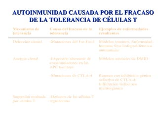AUTOINMUNIDAD CAUSADA POR EL FRACASOAUTOINMUNIDAD CAUSADA POR EL FRACASO
DE LA TOLERANCIA DE CÉLULAS TDE LA TOLERANCIA DE CÉLULAS T
Mecanismo de
tolerancia
Delección clonal
Anergia clonal
Supresión mediada
por células T
Causa del fracaso de la
tolerancia
-Mutaciones del Fas,Fas-l
-Expresión aberrante de
coestimuladores en las
APC tisulares
-Mutaciones de CTLA-4
-Defectos de las células T
reguladoras
Ejemplos de enfermedades
resultantes
Modelos murinos. Enfermedad
humana Sme linfoproliferativo
autoinmune
Modelos animales de DMID
Ratones con inhibición génica
selectiva de CTLA-4:
Infiltración linfocítica
multiorgánica
 