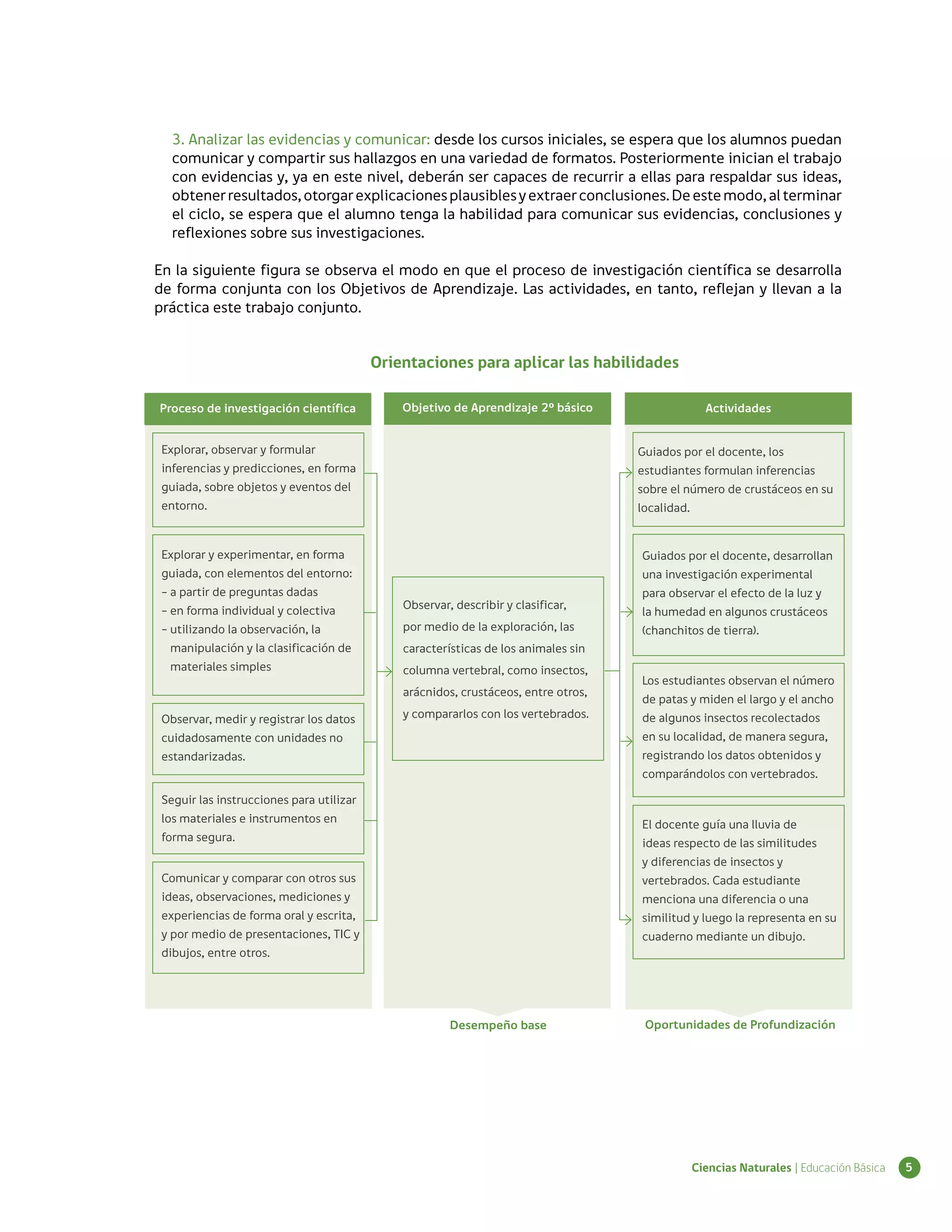 3. Analizar las evidencias y comunicar: desde los cursos iniciales, se espera que los alumnos puedan
   comunicar y compartir sus hallazgos en una variedad de formatos. Posteriormente inician el trabajo
   con evidencias y, ya en este nivel, deberán ser capaces de recurrir a ellas para respaldar sus ideas,
   obtener resultados, otorgar explicaciones plausibles y extraer conclusiones. De este modo, al terminar
   el ciclo, se espera que el alumno tenga la habilidad para comunicar sus evidencias, conclusiones y
   reflexiones sobre sus investigaciones.

En la siguiente figura se observa el modo en que el proceso de investigación científica se desarrolla
de forma conjunta con los Objetivos de Aprendizaje. Las actividades, en tanto, reflejan y llevan a la
práctica este trabajo conjunto.


                                          Orientaciones para aplicar las habilidades

Proceso de investigación científica           Objetivo de Aprendizaje 2° básico                 Actividades


 Explorar, observar y formular                                                      Guiados por el docente, los
 inferencias y predicciones, en forma                                               estudiantes formulan inferencias
 guiada, sobre objetos y eventos del                                                sobre el número de crustáceos en su
 entorno.                                                                           localidad.


 Explorar y experimentar, en forma                                                  Guiados por el docente, desarrollan
 guiada, con elementos del entorno:                                                 una investigación experimental
 - a partir de preguntas dadas                                                      para observar el efecto de la luz y
 - en forma individual y colectiva            Observar, describir y clasificar,
                                                                                    la humedad en algunos crustáceos
 - utilizando la observación, la              por medio de la exploración, las      (chanchitos de tierra).
   manipulación y la clasificación de         características de los animales sin
   materiales simples                         columna vertebral, como insectos,
                                                                                    Los estudiantes observan el número
                                              arácnidos, crustáceos, entre otros,
                                                                                    de patas y miden el largo y el ancho
 Observar, medir y registrar los datos        y compararlos con los vertebrados.    de algunos insectos recolectados
 cuidadosamente con unidades no                                                     en su localidad, de manera segura,
 estandarizadas.                                                                    registrando los datos obtenidos y
                                                                                    comparándolos con vertebrados.

 Seguir las instrucciones para utilizar
 los materiales e instrumentos en                                                   El docente guía una lluvia de
 forma segura.                                                                      ideas respecto de las similitudes
                                                                                    y diferencias de insectos y
 Comunicar y comparar con otros sus                                                 vertebrados. Cada estudiante
 ideas, observaciones, mediciones y                                                 menciona una diferencia o una
 experiencias de forma oral y escrita,                                              similitud y luego la representa en su
 y por medio de presentaciones, TIC y                                               cuaderno mediante un dibujo.
 dibujos, entre otros.




                                                       Desempeño base                Oportunidades de Profundización




                                                                                             Ciencias Naturales | Educación Básica   5
 