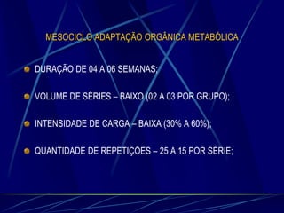 MESOCICLO ADAPTAÇÃO ORGÂNICA METABÓLICA
DURAÇÃO DE 04 A 06 SEMANAS;
VOLUME DE SÉRIES – BAIXO (02 A 03 POR GRUPO);

INTENSIDADE DE CARGA – BAIXA (30% A 60%);
QUANTIDADE DE REPETIÇÕES – 25 A 15 POR SÉRIE;

 
