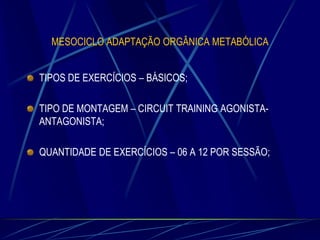 MESOCICLO ADAPTAÇÃO ORGÂNICA METABÓLICA
TIPOS DE EXERCÍCIOS – BÁSICOS;
TIPO DE MONTAGEM – CIRCUIT TRAINING AGONISTAANTAGONISTA;
QUANTIDADE DE EXERCÍCIOS – 06 A 12 POR SESSÃO;

 