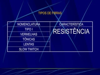 TIPOS DE FIBRAS

NOMENCLATURA
TIPO I
VERMELHAS
TÔNICAS
LENTAS
SLOW TWITCH

CARACTERÍSTICA

RESISTÊNCIA

 