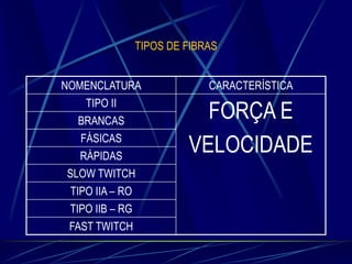 TIPOS DE FIBRAS

NOMENCLATURA
TIPO II
BRANCAS
FÁSICAS
RÁPIDAS
SLOW TWITCH
TIPO IIA – RO
TIPO IIB – RG
FAST TWITCH

CARACTERÍSTICA

FORÇA E
VELOCIDADE

 