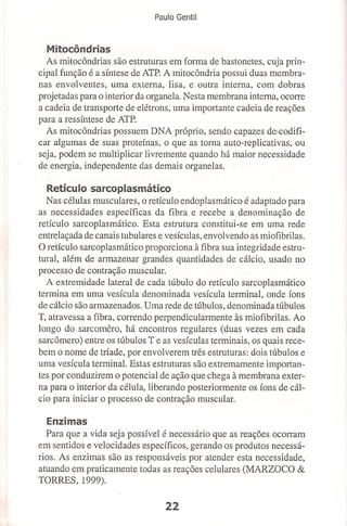 Bases cientifica do treinamento de hipertrofia