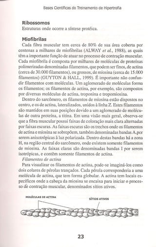 Bases cientifica do treinamento de hipertrofia