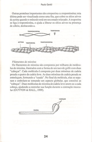 Bases cientifica do treinamento de hipertrofia
