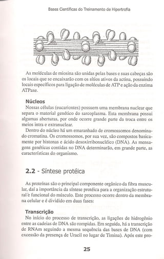 Bases cientifica do treinamento de hipertrofia