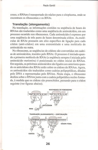 Bases cientifica do treinamento de hipertrofia