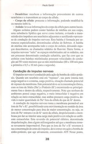 Bases cientifica do treinamento de hipertrofia