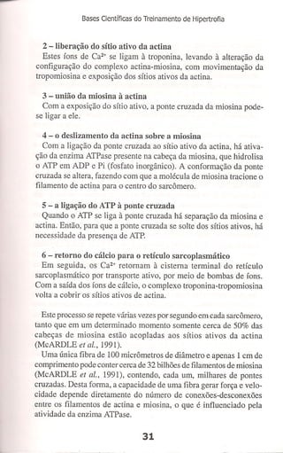 Bases cientifica do treinamento de hipertrofia