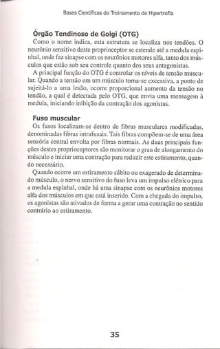 Bases cientifica do treinamento de hipertrofia