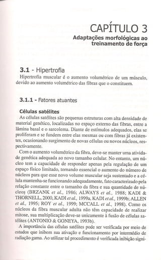 Bases cientifica do treinamento de hipertrofia