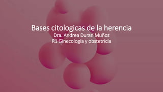 Bases citologicas de la herencia
Dra. Andrea Duran Muñoz
R1 Ginecología y obstetricia
 