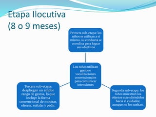 Etapa Ilocutiva
(8 o 9 meses)
Los niños utilizan
gestos o
vocalizaciones
convencionales
para comunicar
intenciones
Primera sub-etapa: los
niños se utilizan a si
mismo, su conducta se
coordina para lograr
sus objetivos
Segunda sub-etapa: los
niños muestran los
objetos extendiéndolos
hacia el cuidador,
aunque no los sueltan.
Tercera sub-etapa:
despliegan un amplio
rango de gestos, lo que
incluye la forma
convencional de mostrar,
ofrecer, señalar y pedir.
 
