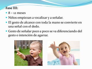 Fase III:
 8 – 12 meses
 Niños empiezan a vocalizar y a señalar.
 El gesto de alcance con toda la mano se convierte en
una señal con el dedo.
 Gesto de señalar poco a poco se va diferenciando del
gesto o intención de agarrar.
 