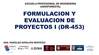 FORMULACION Y
EVALUACION DE
PROYECTOS I (DR-453)
(ING. HAROLDO SATALAYA REATEGUI
ESCUELA PROFESIONAL DE INGENEIERIA
AGROFORESTAL
09/04/2022 1
 