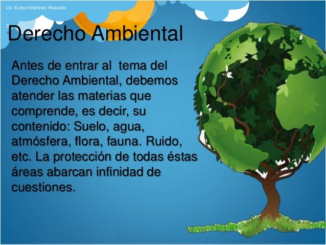 Bases constitucionales derecho ambiental