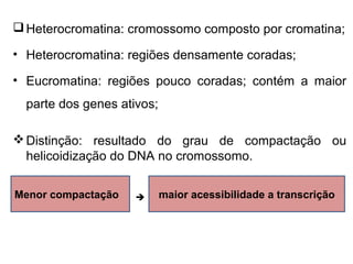 Heterocromatina: cromossomo composto por cromatina;
• Heterocromatina: regiões densamente coradas;
• Eucromatina: regiões pouco coradas; contém a maior
parte dos genes ativos;
Distinção: resultado do grau de compactação ou
helicoidização do DNA no cromossomo.
maior acessibilidade a transcriçãoMenor compactação 
 