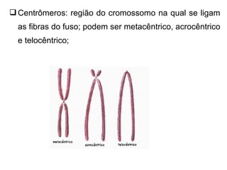Centrômeros: região do cromossomo na qual se ligam
as fibras do fuso; podem ser metacêntrico, acrocêntrico
e telocêntrico;
 