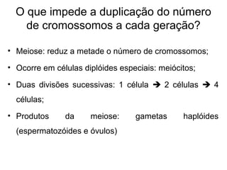 O que impede a duplicação do número
de cromossomos a cada geração?
• Meiose: reduz a metade o número de cromossomos;
• Ocorre em células diplóides especiais: meiócitos;
• Duas divisões sucessivas: 1 célula  2 células  4
células;
• Produtos da meiose: gametas haplóides
(espermatozóides e óvulos)
 