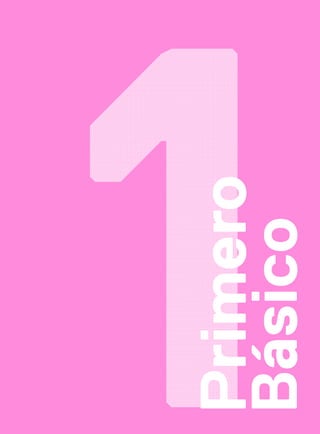 Primero
Básico
 