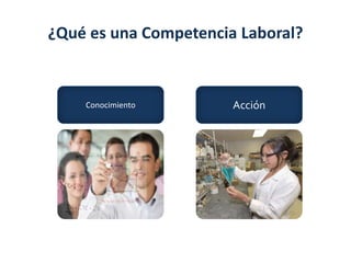 ¿Qué es una Competencia Laboral?
AcciónConocimiento
 