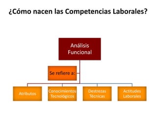 ¿Cómo nacen las Competencias Laborales?
Análisis
Funcional
Atributos
Conocimientos
Tecnológicos
Destrezas
Técnicas
Actitudes
Laborales
Se refiere a:
 
