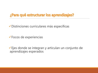 Distinciones curriculares más específicas
Focos de experiencias
Ejes donde se integran y articulan un conjunto de
aprendizajes esperados
 