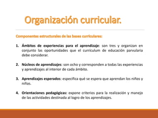 1. Ámbitos de experiencias para el aprendizaje: son tres y organizan en
conjunto las oportunidades que el currículum de educación parvularia
debe considerar.
2. Núcleos de aprendizajes: son ocho y corresponden a todas las experiencias
y aprendizajes al interior de cada ámbito.
3. Aprendizajes esperados: especifica qué se espera que aprendan los niños y
niñas.
4. Orientaciones pedagógicas: expone criterios para la realización y manejo
de las actividades destinada al logro de los aprendizajes.
 