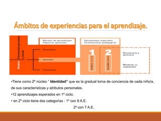 •Tiene como 2º núcleo “ Identidad” que es la gradual toma de conciencia de cada niño/a,
de sus características y atributos personales.
•12 aprendizajes esperados en 1º ciclo.
• en 2º ciclo tiene dos categorías : 1º con 8 A.E.
2º con 7 A.E.
 