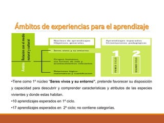 •Tiene como 1º núcleo “Seres vivos y su entorno”, pretende favorecer su disposición
y capacidad para descubrir y comprender características y atributos de las especies
vivientes y donde estas habitan.
•10 aprendizajes esperados en 1º ciclo.
•17 aprendizajes esperados en 2º ciclo; no contiene categorías.
 