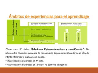 •Tiene como 3º núcleo “Relaciones lógico-matemáticas y cuantificación”. Se
refiere a los diferentes procesos de pensamiento lógico matemático donde el párvulo
intenta interpretar y explicarse el mundo.
•12 aprendizajes esperados en 1º ciclo.
•16 aprendizajes esperados en 2º ciclo; no contiene categorías.
 