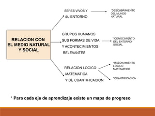 RELACION CON
EL MEDIO NATURAL
Y SOCIAL
SERES VIVOS Y
SU ENTORNO
GRUPOS HUMANOS
SUS FORMAS DE VIDA
Y ACONTECIMIENTOS
RELEVANTES
RELACION LOGICO
MATEMATICA
Y DE CUANTIFICACION
*DESCUBRIMIENTO
DEL MUNDO
NATURAL
*CONOCIMIENTO
DEL ENTORNO
SOCIAL
*RAZONAMIENTO
LOGICO
MATEMATICO
*CUANTIFICACION
* Para cada eje de aprendizaje existe un mapa de progreso
 
