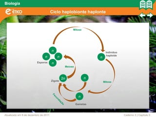 Biologia

                                      Ciclo haplobionte haplonte



                                                           Mitose




                                      n                                       Indivíduo
                                                                               haploide
                               n             n                           n
                         Esporos      n
                                                      Meiose



                                                 2n                  n
                                      Zigoto                                 Mitose
                                      Fe




                                                                 n
                                         cun
                                            da
                                                 çã




                                                               Gametas
                                                  o




Atualizado em 6 de dezembro de 2011                                                       Caderno 3 | Capítulo 3
 