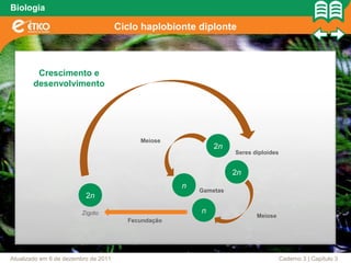 Biologia

                                      Ciclo haplobionte diplonte



         Crescimento e
        desenvolvimento




                                           Meiose
                                                             2n
                                                                   Seres diploides


                                                                   2n
                                                     n
                                                         Gametas
                          2n

                        Zigoto                           n
                                                                          Meiose
                                        Fecundação




Atualizado em 6 de dezembro de 2011                                                  Caderno 3 | Capítulo 3
 