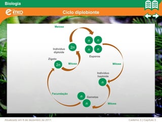 Biologia

                                             Ciclo diplobionte


                                       Meiose




                                                                    n   n
                                                    2n
                                      Indivíduo                     n   n
                                       diploide
                                                                    Esporos
                                Zigoto
                                                   Mitose                            Mitose
                                        2n

                                                                         Indivíduo
                                                                          haploide

                                                                              n


                                      Fecundação
                                                            n   Gametas

                                                                n                 Mitose




Atualizado em 6 de dezembro de 2011                                                           Caderno 3 | Capítulo 3
 