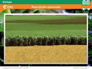 Biologia

                                      Reprodução assexuada




Atualizado em 6 de dezembro de 2011                          Caderno 3 | Capítulo 3
 