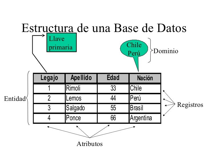 Bases datos