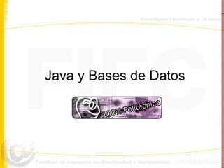 Java y Bases de Datos 