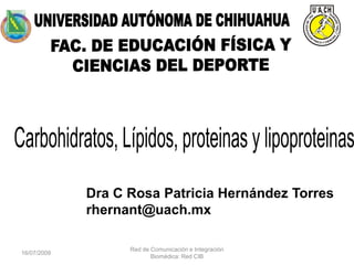 Dra C Rosa Patricia Hernández Torres
             rhernant@uach.mx

                   Red de Comunicación e Integración
16/07/2009
                          Biomédica: Red CIB
 